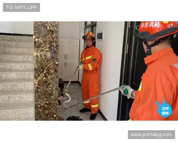 ag视讯竟眯厅的技术保障与安全措施详解